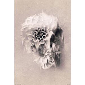 Poster Ali Gülec - Decay Skull, (61 x 91.5 cm)