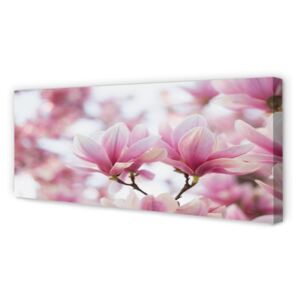 Canvas print magnolia