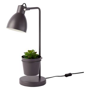 Bobby Plant Task Lamp - Grey