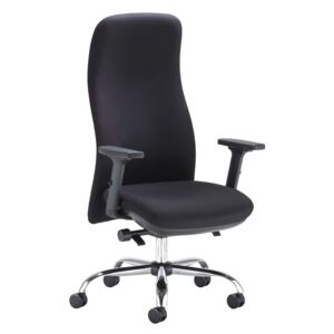 Andrea Ergonomic Posture Executive Fabric Chair, Black