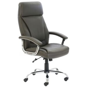 Penza High Back Executive Brown Leather Chair, Brown