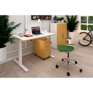 Strive Sit & Stand Rectangular Home Office Desk