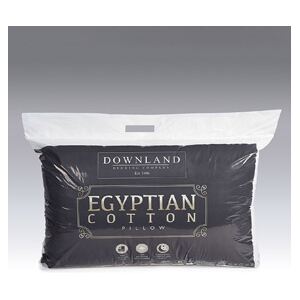 Damart Pair of Egyptian Cotton Pillows