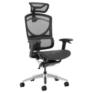 Peryton Deluxe 24 Hour Mesh Chair With Headrest