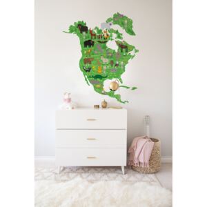 Wall decals North America