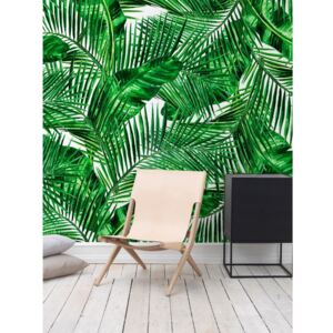 Wallpaper In The Great Bush Of Tropics