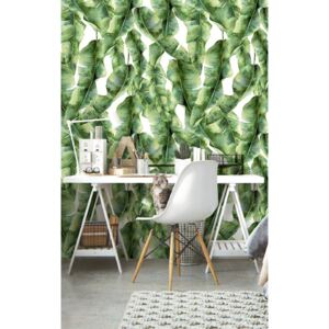 Wallpaper Banana Palm Leaves