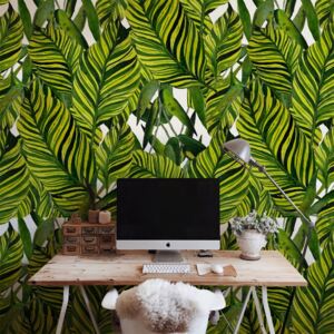 Wallpaper Big Leaves Of Hot Tropics
