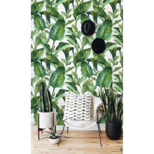 Wallpaper Lush Green Tropics