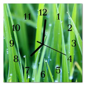 Glass Wall Clock Grass Dew Grass Dew Green