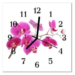 Glass Kitchen Clock Orchid Flowers & Plants Pink