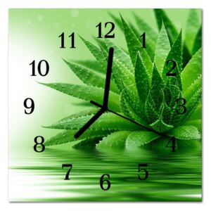 Glass Kitchen Clock Aloe Aloe Green