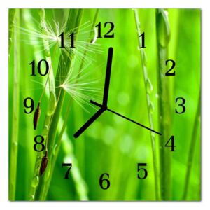 Glass Kitchen Clock Grass Nature Green