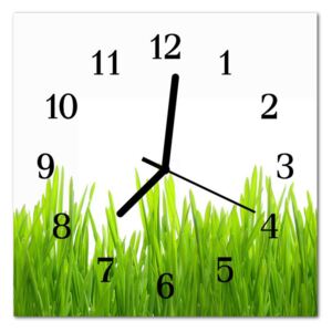 Glass Kitchen Clock Grass Grass Green