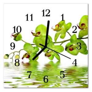 Glass Kitchen Clock Orchid Flowers & Plants Green