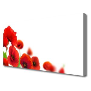 Canvas print Poppies Floral Red Black Green
