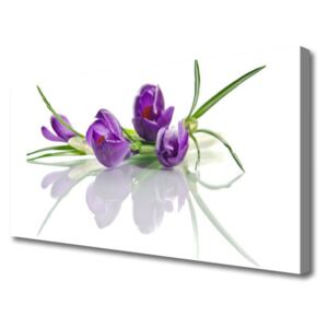 Canvas Wall art Flowers Floral Pink Green
