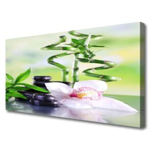 Canvas Wall art Bamboo Stalks Flower Stones Floral Green White Black