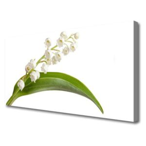 Canvas print Flowers Floral White Green
