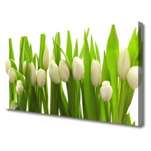 Canvas print Tulips Floral White Green