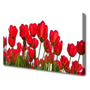 Canvas print Flowers Floral Red Green White