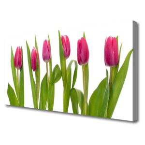 Canvas Wall art Tulips Floral Red