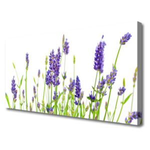 Canvas print Flowers Floral Purple Green White