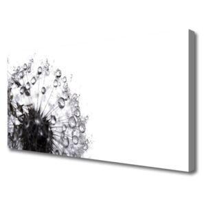 Canvas print Dandelion Floral Grey White