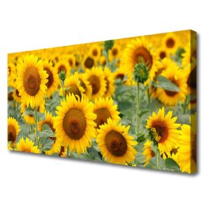 Canvas Wall art Sunflowers Floral Brown Yellow