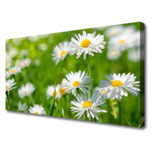 Canvas Wall art Daisy Floral Yellow White