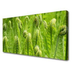 Canvas Wall art Plants Floral Green