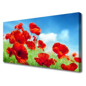 Canvas Wall art Poppies Floral Red