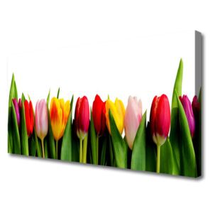 Canvas print Tulips Floral Red Pink Yellow Green
