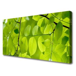 Canvas print Leaves Nature Green