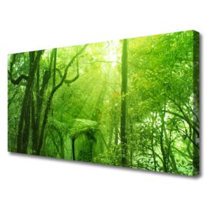 Canvas print Trees Nature Brown Green