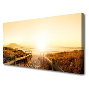Canvas print Footpath Landscape Green Yellow Brown