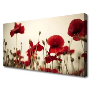 Canvas print Poppies Floral Red Grey Green