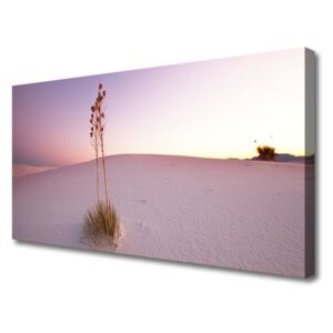 Canvas Wall art Desert Landscape Brown