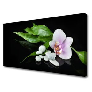 Canvas print Flower Stones Leaves Floral White Pink Green Black
