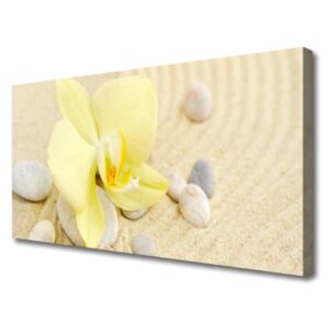 Canvas print Flowers Floral White Green