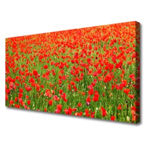 Canvas Wall art Poppies Nature Red Green