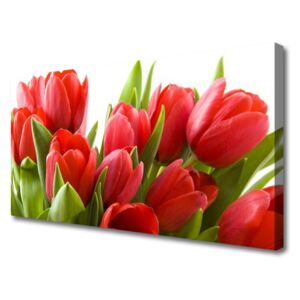 Canvas print Tulips Floral Red Green