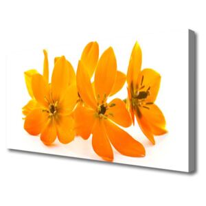 Canvas print Flowers Floral Orange