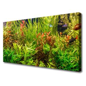 Canvas Wall art Plants Floral Green Brown