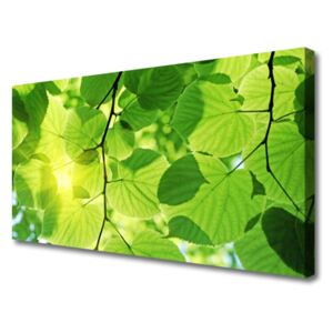 Canvas Wall art Leaves Floral Green Brown