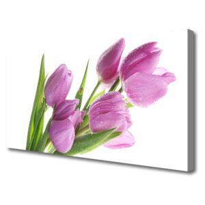 Canvas Wall art Tulips Floral Pink Green