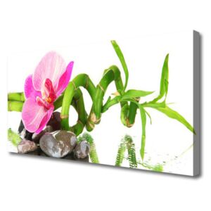 Canvas print Flower Floral Pink Green Grey White