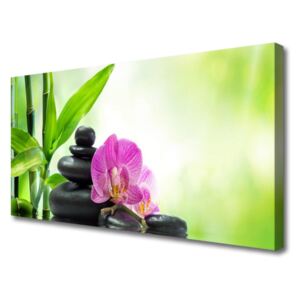 Canvas Wall art Bamboo Tube Flower Stones Floral Green Black Pink