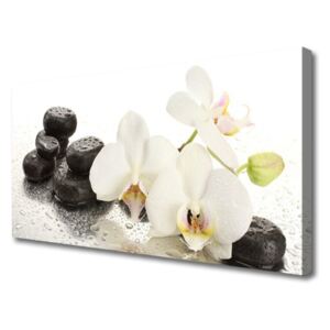 Canvas Wall art Flower Stones Floral White Black