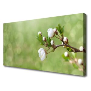 Canvas print Flowers Floral Green White
